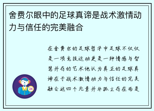 舍费尔眼中的足球真谛是战术激情动力与信任的完美融合